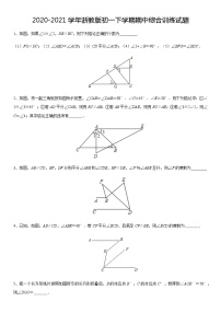 2020-2021学年浙教版七年级数学下册期中综合训练试题（Word版，无答案）