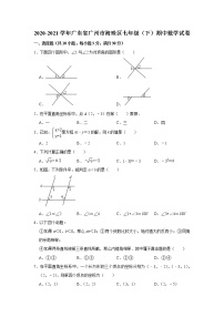 广东省广州市海珠区2020-2021学年七年级下学期期中数学试卷（Word版无答案）