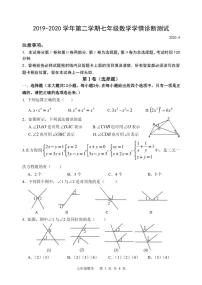 山东省潍坊市2019-2020学年第二学期七年级数学期中试题 （PDF版，无答案）