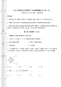 模拟真题：2022年雷州市中考数学三年高频真题汇总 卷（Ⅱ）（精选）