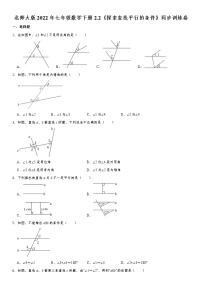 初中数学北师大版七年级下册2 探索直线平行的条件达标测试