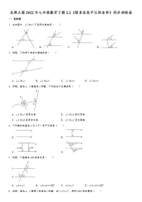 初中数学北师大版七年级下册2 探索直线平行的条件达标测试