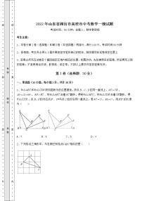 【难点解析】2022年山东省潍坊市高密市中考数学一模试题（含答案详解）