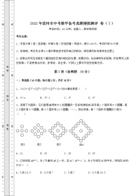 【难点解析】2022年雷州市中考数学备考真题模拟测评 卷（Ⅰ）（含答案详解）