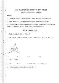 【难点解析】2022年山东省潍坊市高密市中考数学一模试题（含详解）