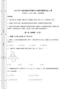 【真题汇编】2022年广东省深圳市罗湖区中考数学模拟考试 A卷（含答案详解）