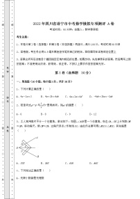 【真题汇编】2022年四川省遂宁市中考数学模拟专项测评 A卷（含详解）