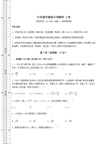 【真题汇编】中考数学模拟专项测评 A卷（精选）