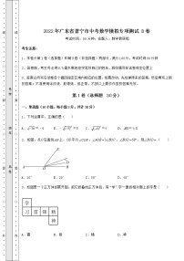 【真题汇总卷】2022年广东省普宁市中考数学模拟专项测试 B卷（精选）