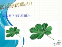 初中数学人教版九年级下册27.1 图形的相似课前预习课件ppt