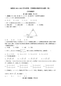 陕西省汉中市城固县2021-2022学年八年级上学期期末数学试题（word版 含答案）