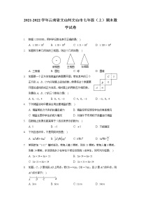 2021-2022学年云南省文山州文山市七年级（上）期末数学试卷