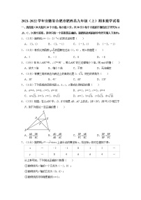 2021-2022学年安徽省合肥市肥西县九年级（上）期末数学试卷  解析版