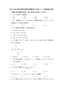 2021-2022学年河南省南阳市桐柏县八年级（上）期末数学试卷  word，解析版