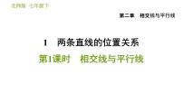 初中数学北师大版七年级下册1 两条直线的位置关系习题课件ppt