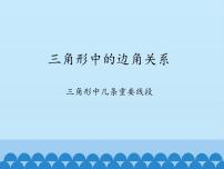 初中13.1  三角形中的边角关系图片ppt课件