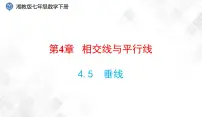 初中数学湘教版七年级下册4.5 垂线教课内容ppt课件