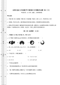 2021-2022学年北师大版七年级数学下册期末专项测评试题 卷（Ⅱ）（含答案详解）