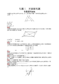 2022年人教版中考数学总复习------开放探究题