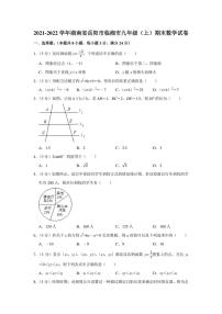 2021-2022学年湖南省岳阳市临湘市九年级（上）期末数学试卷（学生版+解析版）