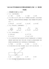 2021-2022学年湖南省长沙市雅礼教育集团九年级（上）期末数学试卷（学生版+解析版）