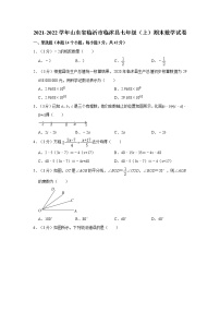 2021-2022学年山东省临沂市临沭县七年级（上）期末数学试卷    解析版