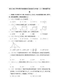 2021-2022学年四川省成都市天府新区九年级（上）期末数学试卷    解析版