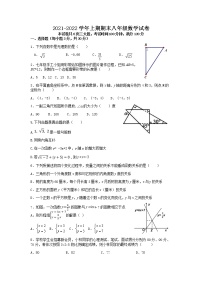 河南省郑州市中原一中实验学校2021-2022学年八年级上学期期末数学试卷