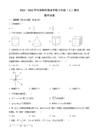 广东省深圳市深圳外国语学校2021-2022学年七年级上学期期末数学试题