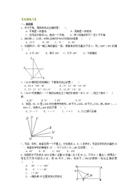 七年级上册 37角（提高）巩固练习