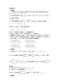 24二元一次方程组的相关概念(提高)巩固练习