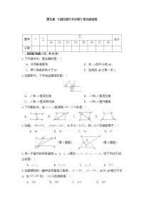 初中人教版第五章 相交线与平行线综合与测试巩固练习