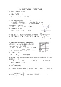 七年级数学上册期中考试数学试题 (2)