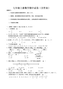 七年级上册数学期中试卷（含答案） (4)