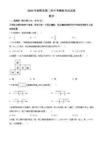 精品解析：2020年河南省南阳市新野县九年级二模数学试题(解析版+原卷版)