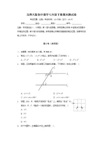 北师大版初中数学七年级下册期末测试卷(含答案解析)
