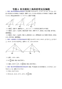 专题06 有关相似三角形的常见压轴题-【聚焦压轴】2022届中考数学压轴大题专项训练1