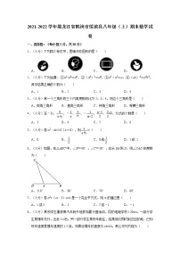 2021-2022学年黑龙江省鹤岗市绥滨县八年级（上）期末数学试卷   word，解析版