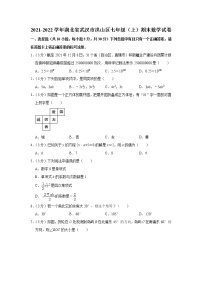 2021-2022学年湖北省武汉市洪山区七年级（上）期末数学试卷   word，解析版