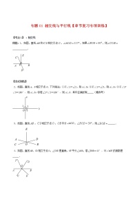 专题01 相交线与平行线【章节复习专项训练】-2021-2022学年七年级数学下学期期末专项复习（人教版）