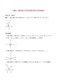专题01 相交线与平行线【章节复习专项训练】-2021-2022学年七年级数学下学期期末专项复习(人教版)
