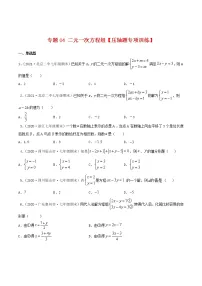 专题04 二元一次方程组【压轴题专项训练】-2021-2022学年七年级数学下学期期末专项复习（人教版）