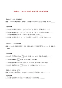 专题04 二元一次方程组【章节复习专项训练】-2021-2022学年七年级数学下学期期末专项复习（人教版）
