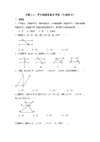 专题5.8 平行线的性质及平移（专项练习）-2021-2022学年七年级数学下册基础知识专项讲练（人教版）