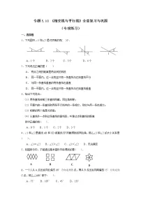 专题5.10 《相交线与平行线》全章复习与巩固(专项练习)七年级数学下册基础知识专项讲练(人教版)