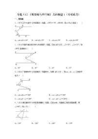 专题5.12 《相交线与平行线》几何模型1（专项练习）-2021-2022学年七年级数学下册基础知识专项讲练（人教版）