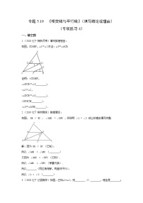 专题5.19 《相交线与平行线》（填写结论或理由）（专项练习4）七年级数学下册基础知识专项讲练（人教版）