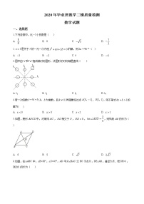 精品解析：2020年山东省菏泽市曹县九年级中考二模数学试题(解析版+原卷版)