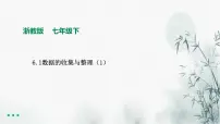 2020-2021学年6.1数据的收集与整理示范课课件ppt