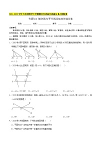 专题2.1相交线与平行线（压轴培优强化卷）-2021-2022学年七年级数学下学期期末考试高分直通车【人教版】